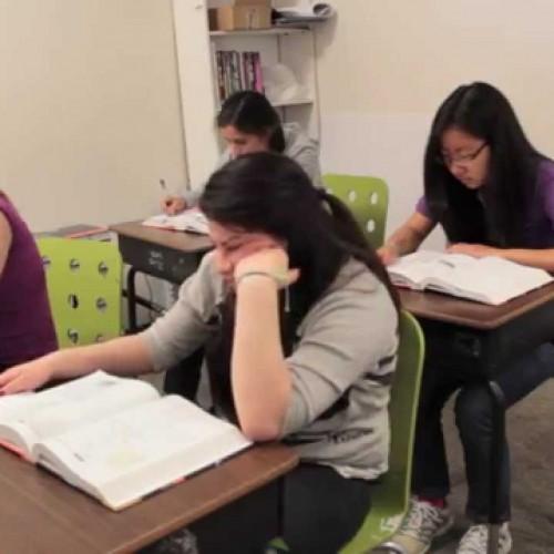 Friends – Reflected Shadows